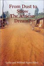 From Dust to Snow: The African Dream?