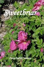 Sweetbriar: A Quick Reference Guide on How to Earn Quick Cash, Save Money, and Invest in Times o