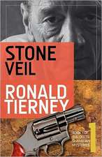 Stone Veil: Book 1 of the Deets Shanahan Mysteries