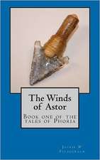 The Winds of Astor: Volume 2 of Web Design for Babies