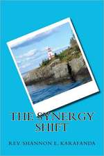 The Synergy Shift: A Collection of Monologues and Dialogues Inspired by the Old Testament, Told with a Southern