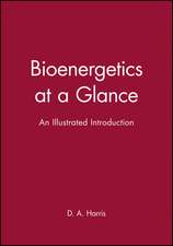 Bioenergetics at a Glance – An Illustrated Introduction