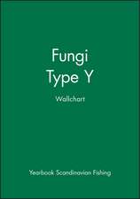 Fungi: Type Y Wallchart