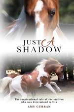 Just A Shadow