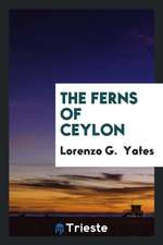 The Ferns of Ceylon