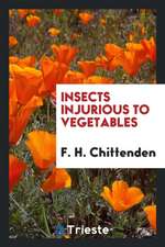 Insects Injurious to Vegetables