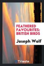 Feathered Favourites: British Birds