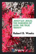 Jehovah-Jesus: The Oneness of God: The True Trinity