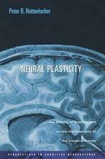 Neural Plasticity – The Effects of Environment on the Development of the Cerebral Cortex