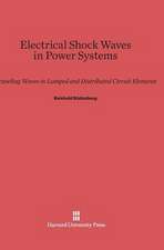 Electrical Shock Waves in Power Systems