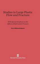 Studies in Large Plastic Flow and Fracture