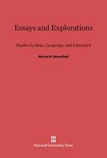 Essays and Explorations