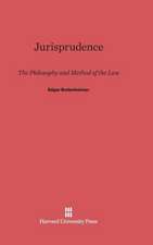 Jurisprudence