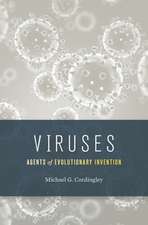 Viruses – Agents of Evolutionary Invention