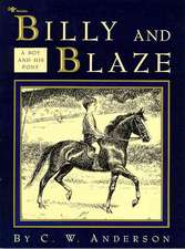 Billy and Blaze: A Boy and His Pony