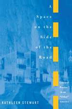 A Space on the Side of the Road – Cultural Poetics in an "Other" America