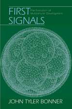 First Signals