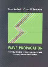 Wave Propagation – From Electrons to Photonic Crystals and Left–Handed Materials