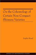 On the Cohomology of Certain Non–Compact Shimura Varieties (AM–173)