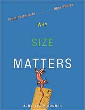 Why Size Matters – From Bacteria to Blue Whales