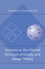 Lectures on the Infrared Structure of Gravity and Gauge Theory