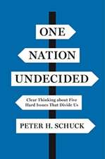 One Nation Undecided – Clear Thinking about Five Hard Issues That Divide Us