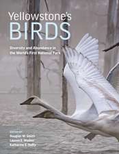 Yellowstone′s Birds – Diversity and Abundance in the World′s First National Park