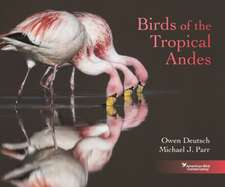 Birds of the Tropical Andes