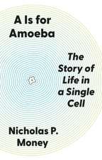 A is for Amoeba