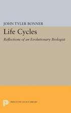 Life Cycles