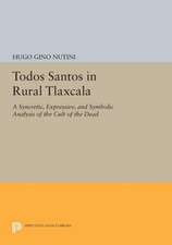 Todos Santos in Rural Tlaxcala – A Syncretic, Expressive, and Symbolic Analysis of the Cult of the Dead