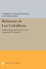 Belmonte De Los Caballeros – Anthropology and History in an Aragonese Community