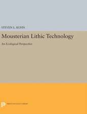 Mousterian Lithic Technology