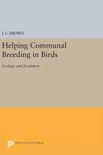 Helping Communal Breeding in Birds – Ecology and Evolution