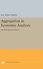 Aggregation in Economic Analysis