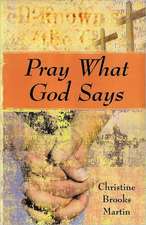 Pray What God Says: Everything You Need to Know from Autistics, Parents, and Professionals