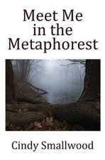 Meet Me in the Metaphorest: Ilsead