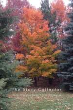 The Story Collector