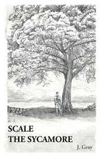 Scale the Sycamore