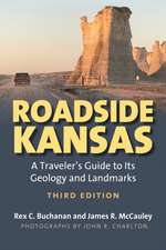 Roadside Kansas