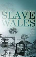 Slave Wales: The Welsh and Atlantic Slavery, 1660-1850