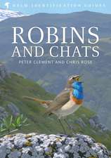 Robins and Chats