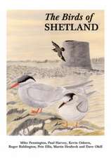 Birds of Shetland