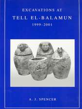 Excavations at Tell El-Balamun 1999-2001