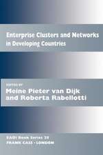 Enterprise Clusters and Networks in Developing Countries