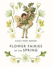 Flower Fairies of the Spring