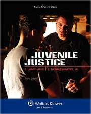 Juvenile Justice, Third Edition