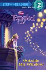 Tangled: Outside My Window