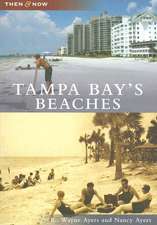 Tampa Bay's Beaches