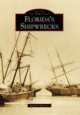 Florida's Shipwrecks